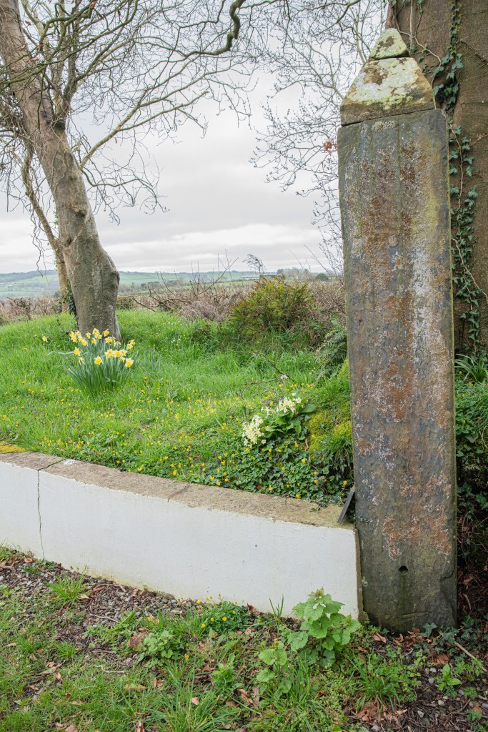 Lowri Ann Rees Glanmedeni | raysphotos